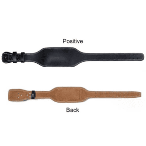 Leather weightlifting belt positive and back view
