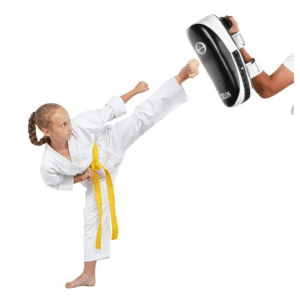 Chlon pu leather foot target pads for fighting techniques training 300x300 Resolution